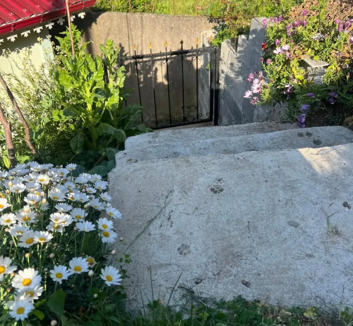 Karadeniz Aile Evi Villa Trabzon 0*,